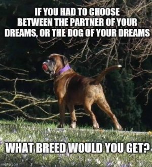 breedjk.jpg