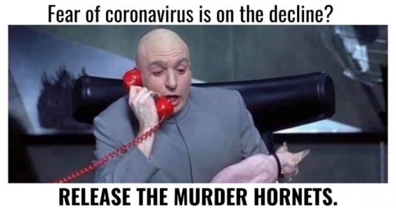 coronavirusmemes-lede-1300x681.jpg