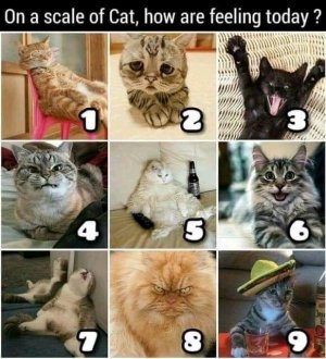 FB_IMG_16248224480761368.jpg