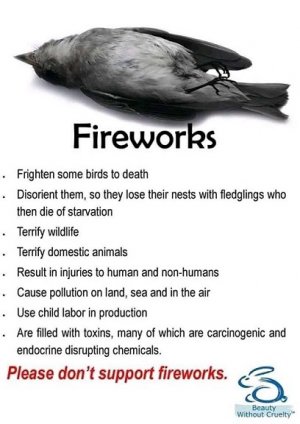 fireworks.jpg