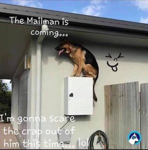 Mailman.jpg