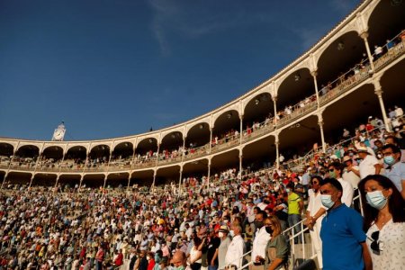 bull fight.jpg