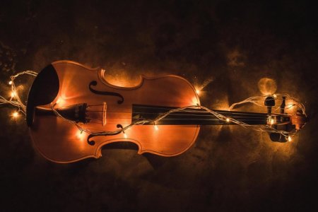 violin-questions-for-beginners.jpg