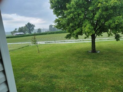 6-29-21 rain 1.jpg
