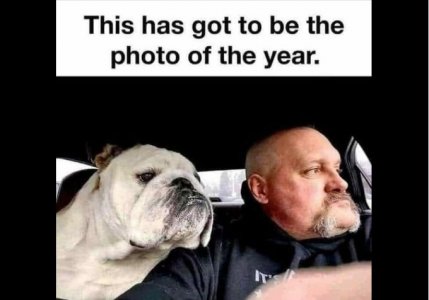 photo of the year.jpg