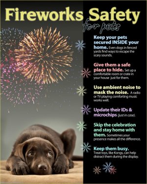 scary-fireworks_orig.jpg