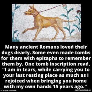 dogs01.jpg