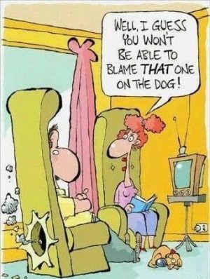 Blame dog.jpg