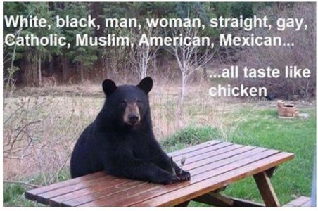 Black bear.jpg