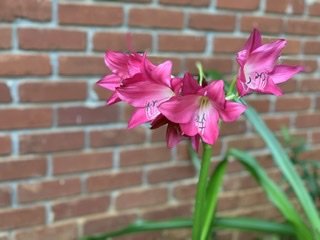 0F268ED8-AA1C-4566-8985-555026E46976.jpeg