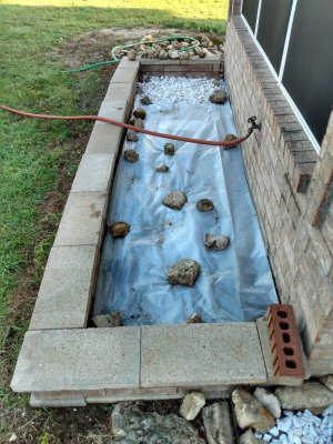 IMG_20210630_072343316_HDR.jpg IMG_20210630_072343316_HDR.jpg