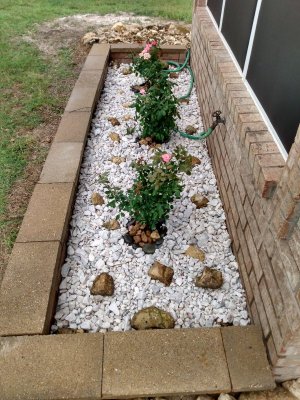 IMG_20210630_103908034_HDR.jpg IMG_20210630_103908034_HDR.jpg