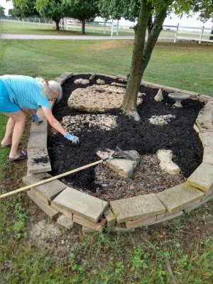 IMG_20210630_075046474_HDR.jpg IMG_20210630_075046474_HDR.jpg