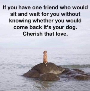 833E2F4B-0459-45B4-88B1-A5DBE04C4802.jpeg