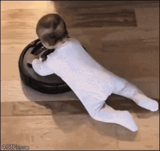 giphy (2).gif