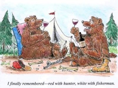 covid bears.jpg