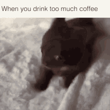 tenor (8).gif