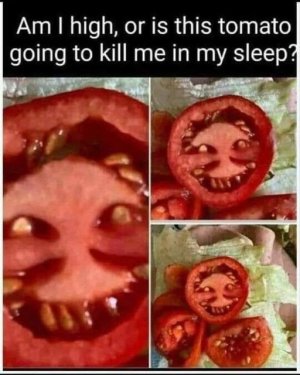 Demon Tomato.jpg