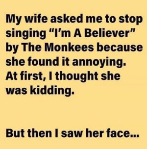 Monkees.1.jpeg