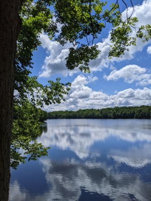 PXL_20210704_152116870.jpg
