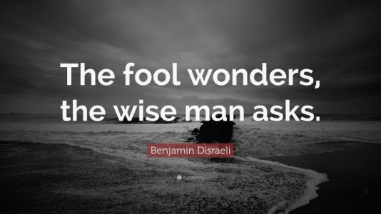 84825-Benjamin-Disraeli-Quote-The-fool-wonders-the-wise-man-asks.jpg