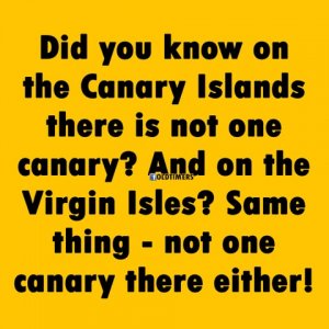 Canary Islands.jpeg
