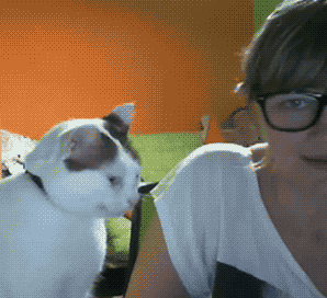 cat-knocks-girls-glasses-computer-13483655823.gif