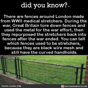 F79A0B45-0782-4F76-A92F-334D679356F3.jpeg