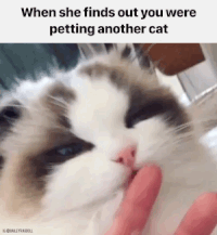 tumblr_pcsbglNc2n1wvo7i8o1_250.gif