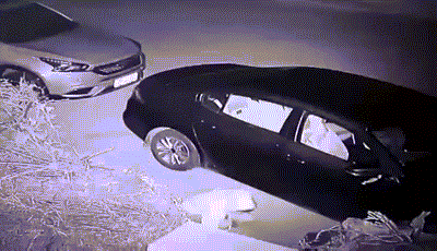 funny-gif-dump-2.18.19-14.gif