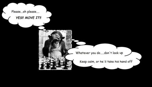 yer move....bozo.jpg