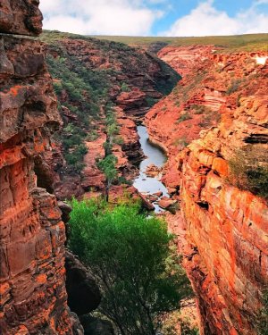 kalbarri.jpg