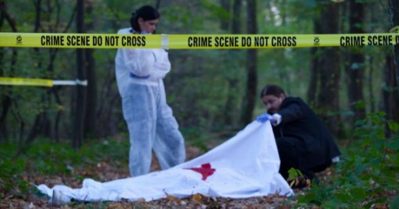 3254c7d47a48c473b338f689620334ad.jpg 3254c7d47a48c473b338f689620334ad.jpg