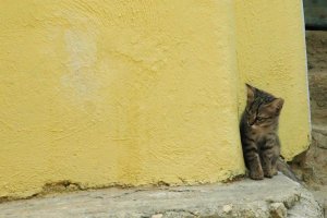behind-the-corner.jpg