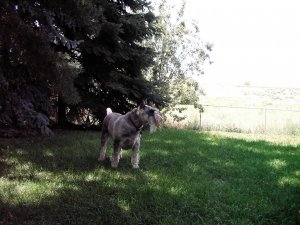 IMGP2483.jpg