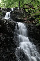 3653104210_31f2ab687e_m.jpg