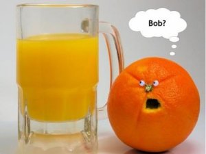 image.jpeg
