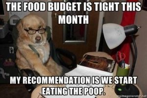 budget-is-tight-eat-the-poop-meme.jpg
