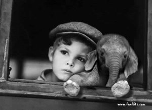 8992-boy-n-baby-elephant.jpg