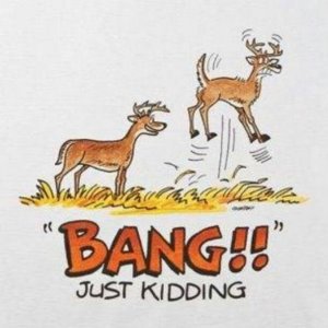 image.jpeg