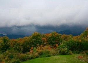 IMG_2835.jpg