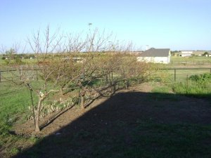 08-02-2010 004.jpg