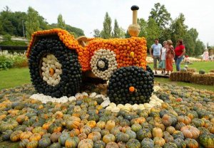 10Pumpkins.jpg
