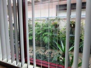 View from Room 3 at Alwyn web.JPG