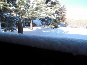 DSCN0881 (1500x1125).jpg