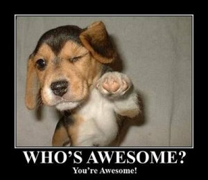 dog funnie your awesome!.jpg