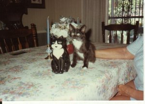 Christopher as a kitten '89.jpg