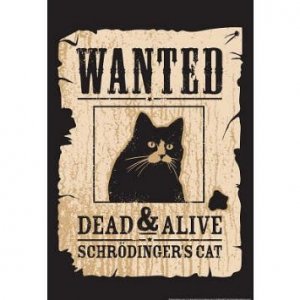 schoedingers_cat.jpg