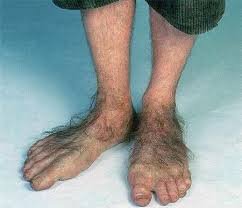 hairy legs and feet.jpg
