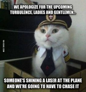 cat funnies chase laser.jpg